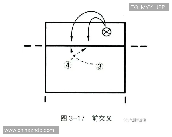 南京羽毛球队快攻战术分析及其在比赛中的成败得失探讨