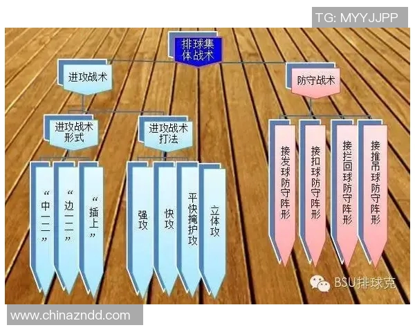 广州排球队战术解析与发展策略探讨之路