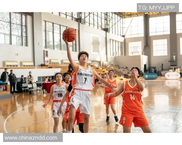 西安篮球队实力分析与发展潜力探讨