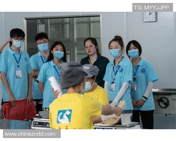 重庆网球队攻势变革探秘：从传统到现代的全面升级之路